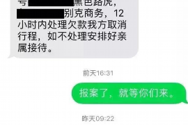 湖北为什么选择专业追讨公司来处理您的债务纠纷？